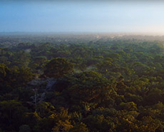Selva Amazonia